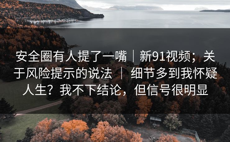 安全圈有人提了一嘴｜新91视频；关于风险提示的说法 ｜ 细节多到我怀疑人生？我不下结论，但信号很明显  第1张